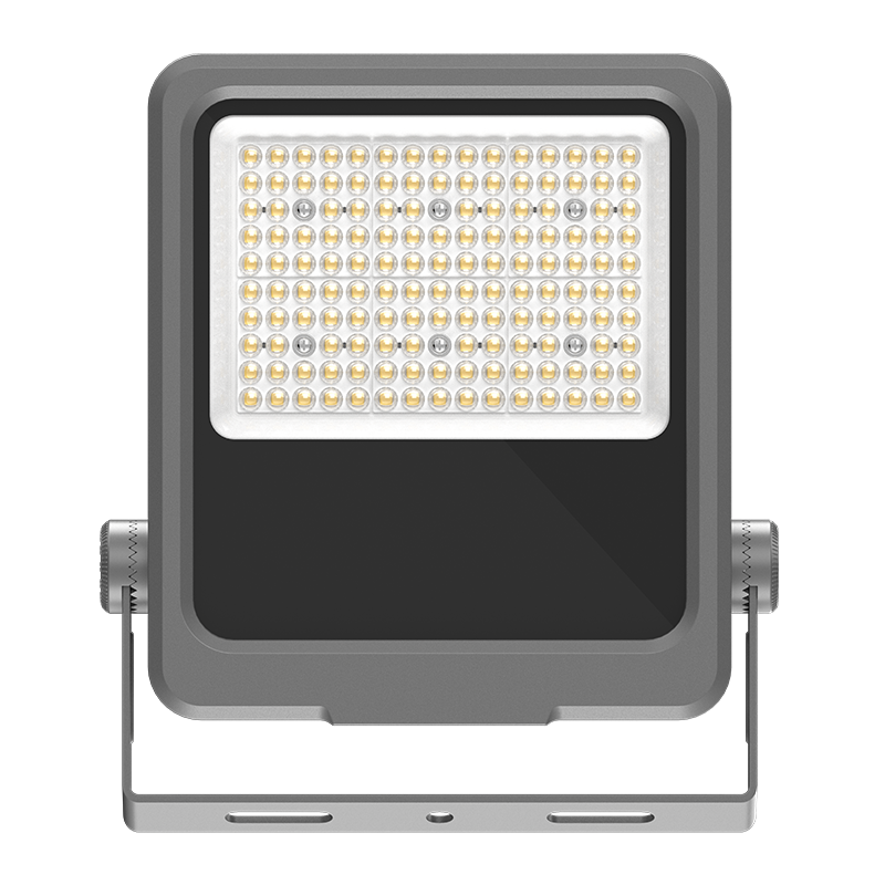 Lampu Banjir LED Energi Rendah PY-FL02-100W
